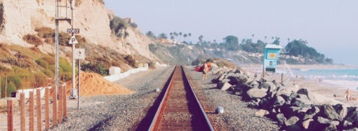 Sustainable Practices in Tequila Production